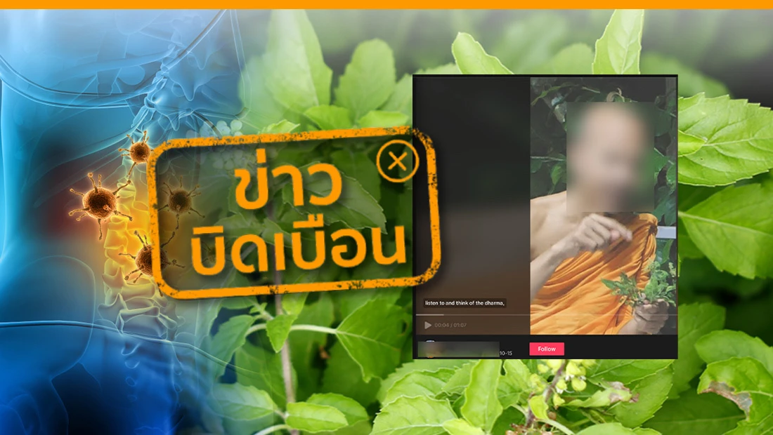 ใบกะเพรา