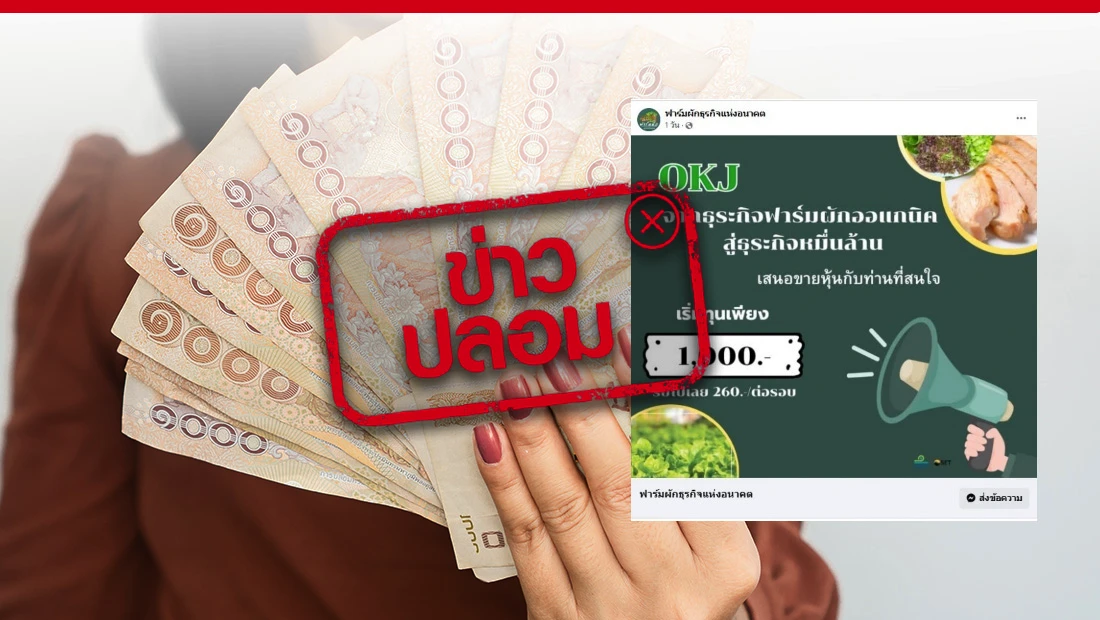 OKJ ธุระกิจฟาร์มผักออแกนิค