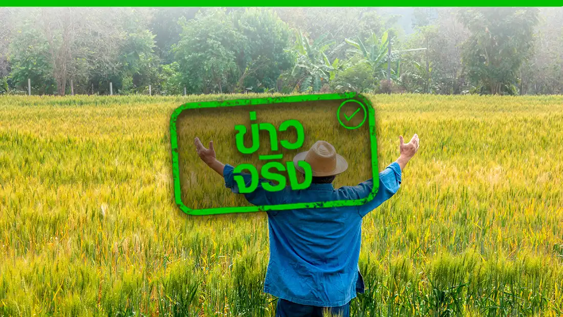 ช่วยเหลือชาวนา