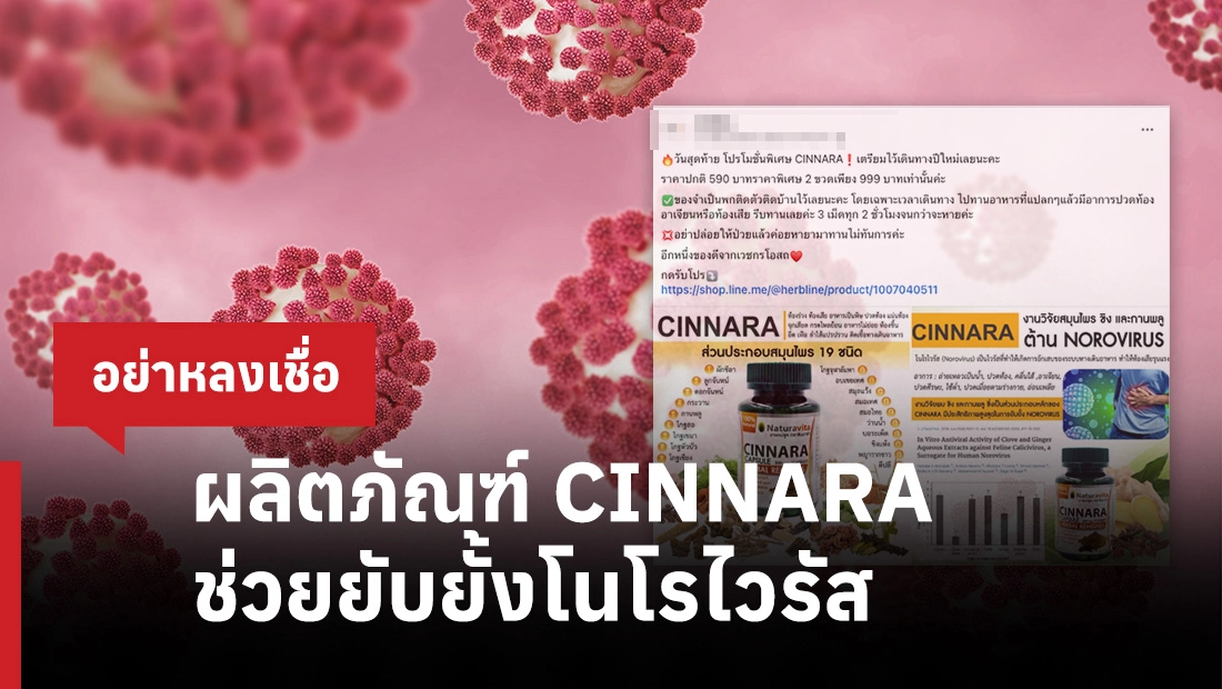 ผลิตภัณฑ์ CINNARA
