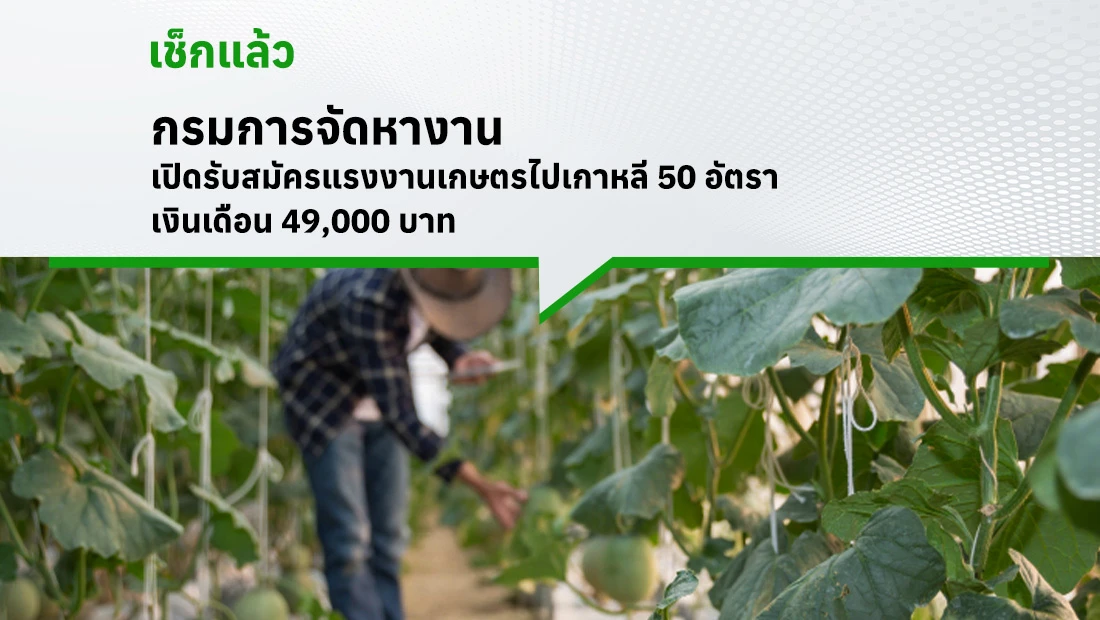 แรงงานเกษตรไปเกาหลี