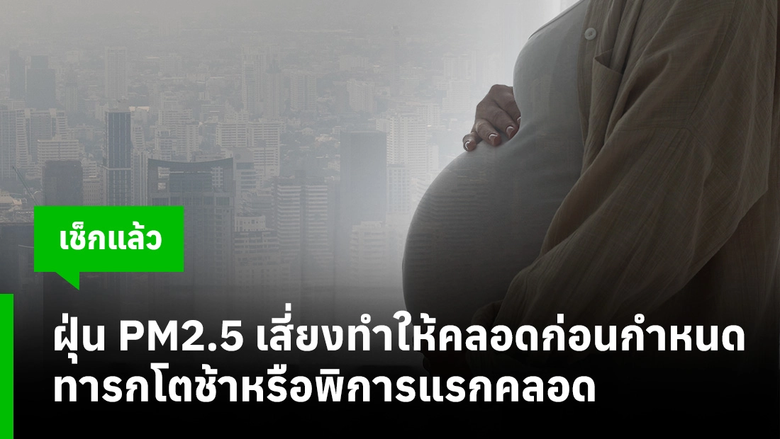 ฝุ่น PM2.5
