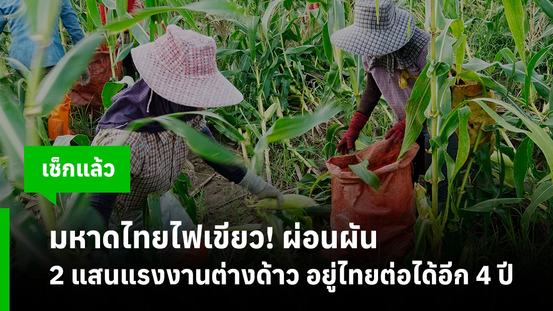 แรงงานต่างด้าว