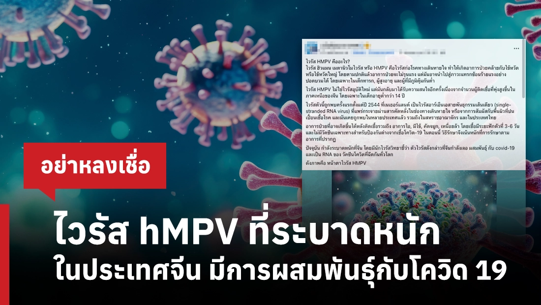 ไวรัส hMPV