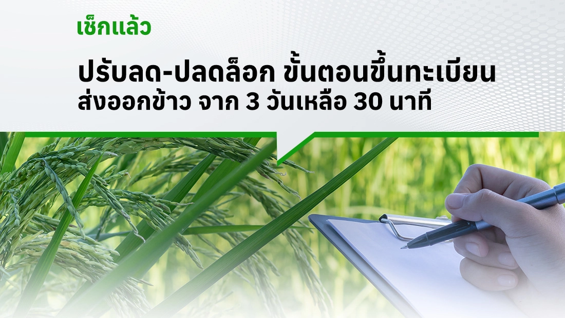 ปรับลด-ปลดล็อก ขั้นตอนขึ้นทะเบียนส่งออกข้าว