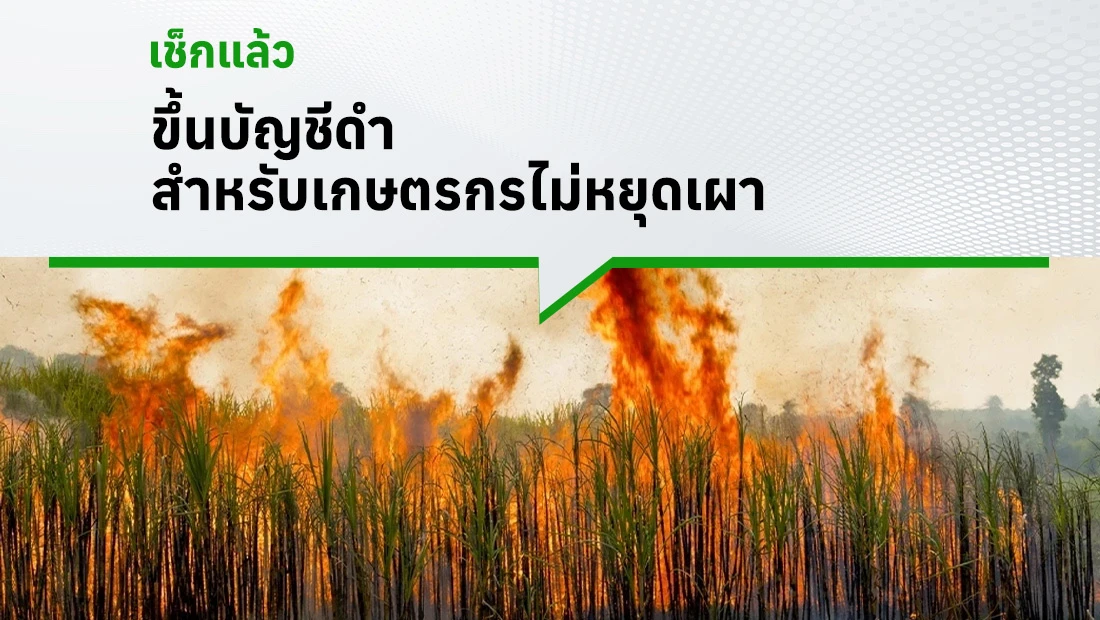 ห้ามเผาในพื้นที่การเกษตร
