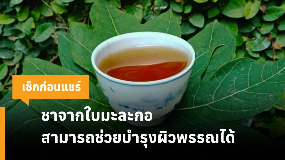 ชาจากใบมะละกอ
