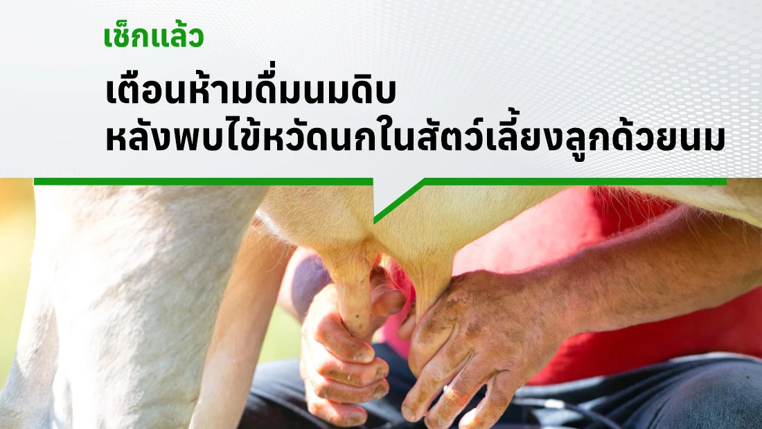 ห้ามดื่มนมดิบ