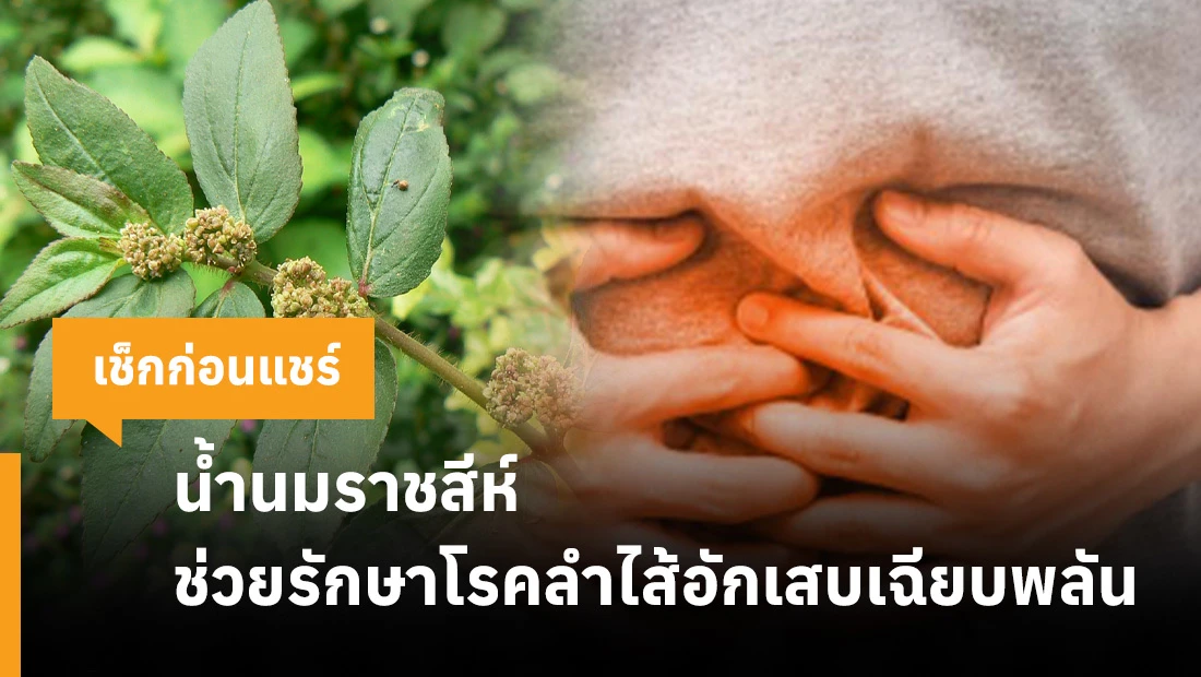 น้ำนมราชสีห์