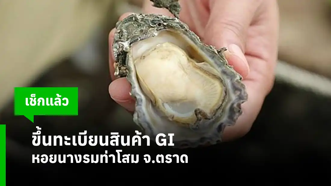 ขึ้นทะเบียนสินค้า GI