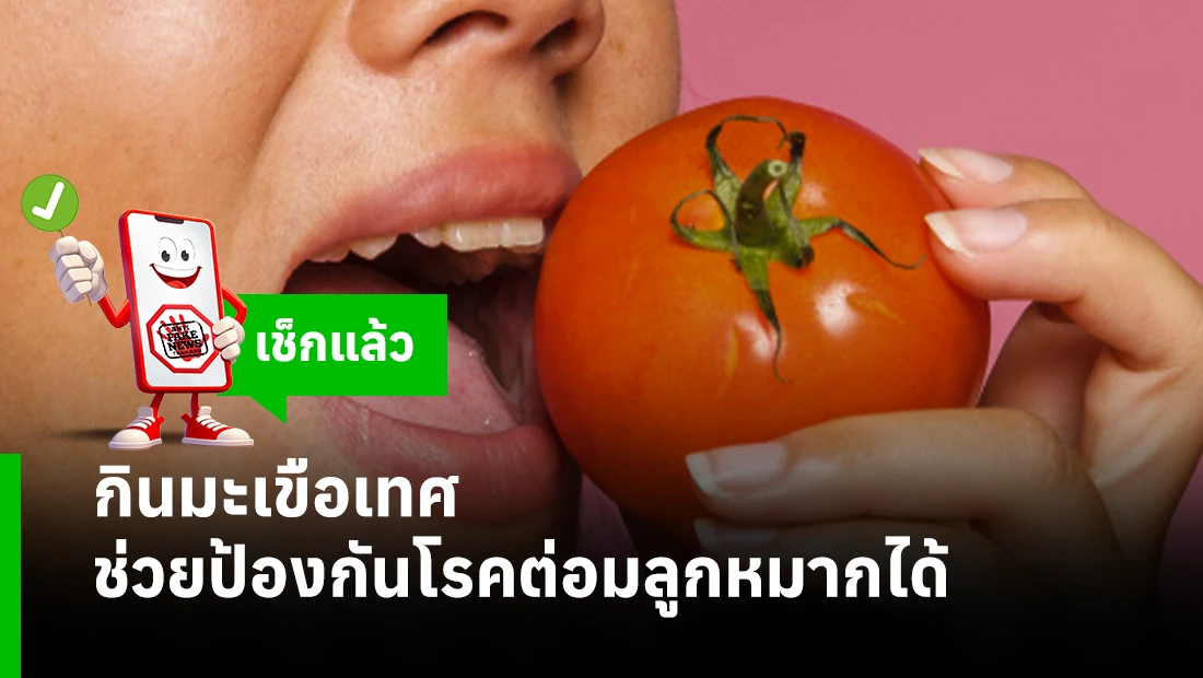 กินมะเขือเทศ