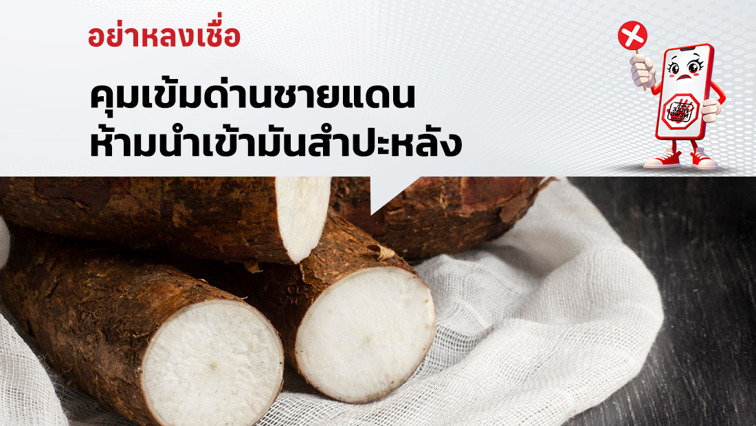 คุมเข้มด่านชายแดน ห้ามนำเข้ามันสำปะหลัง 