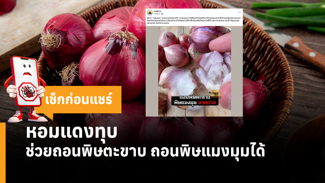 หอมแดงทุบ ช่วยถอนพิษตะขาบ ถอนพิษแมงมุมได้ 