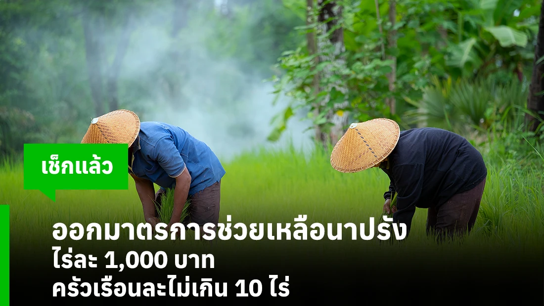 ออกมาตรการช่วยเหลือนาปรัง ไร่ละ 1,000 บาท ครัวเรือนละไม่เกิน 10 ไร่