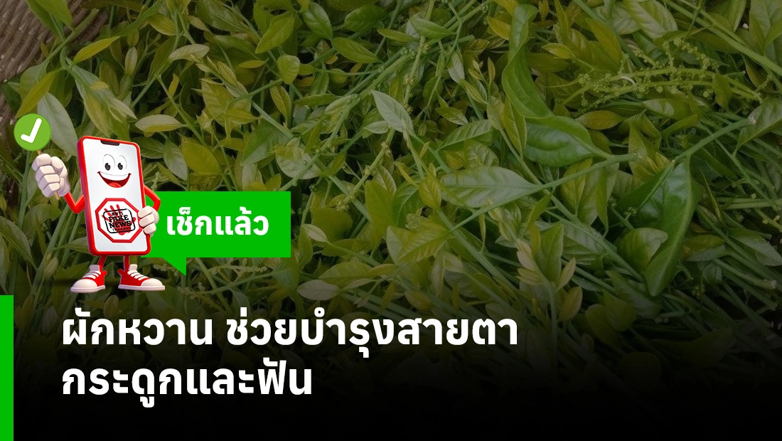 ผักหวาน