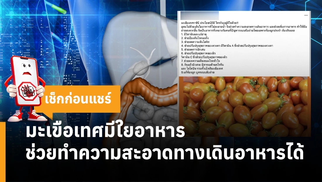 มะเขือเทศ