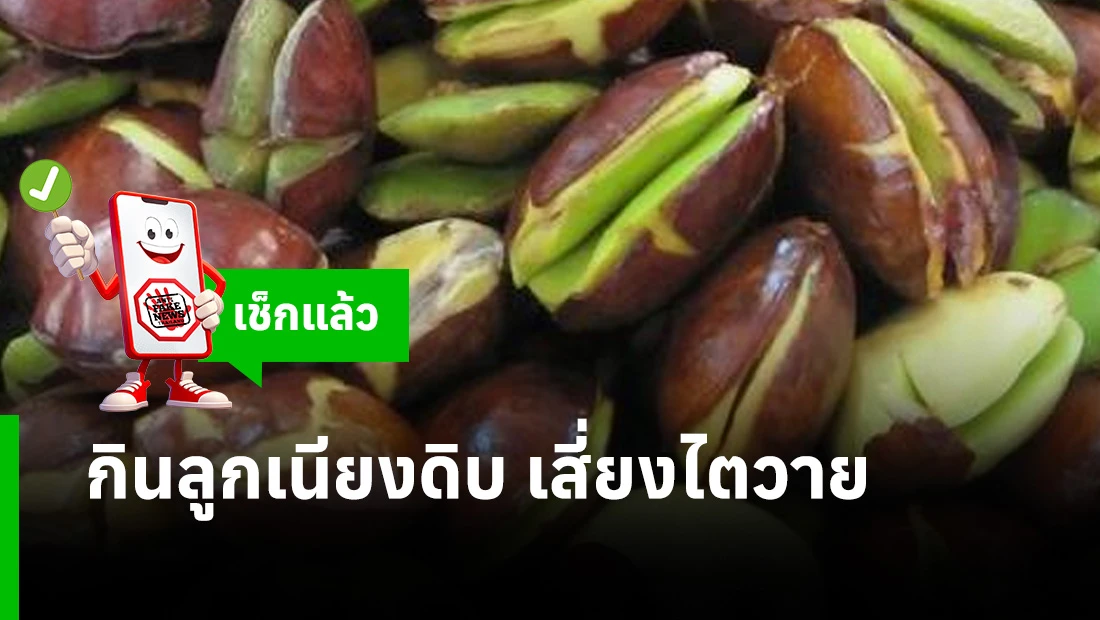 ลูกเนียงดิบ