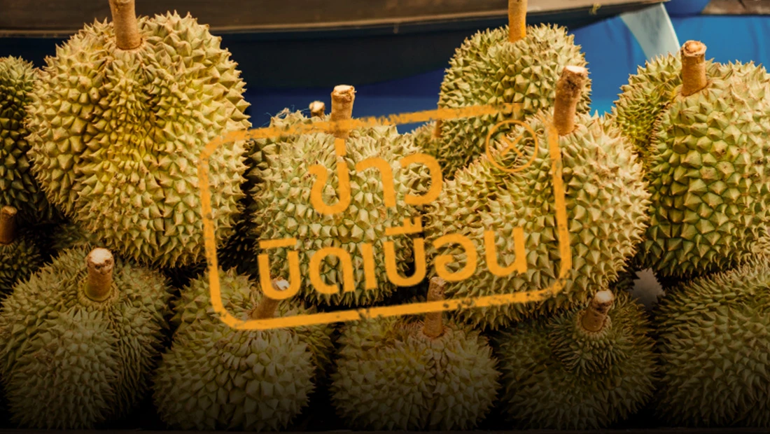 จีนระงับการนำเข้าทุเรียนจากไทย