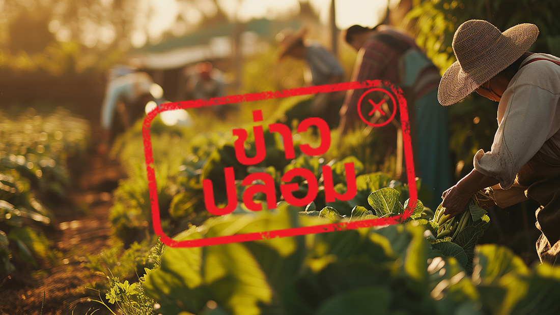 กรมการจัดหางานเปิดรับสมัครแรงงานชาวไทยไปทำงานต่างประเทศ ผ่านเพจ Department of Employment