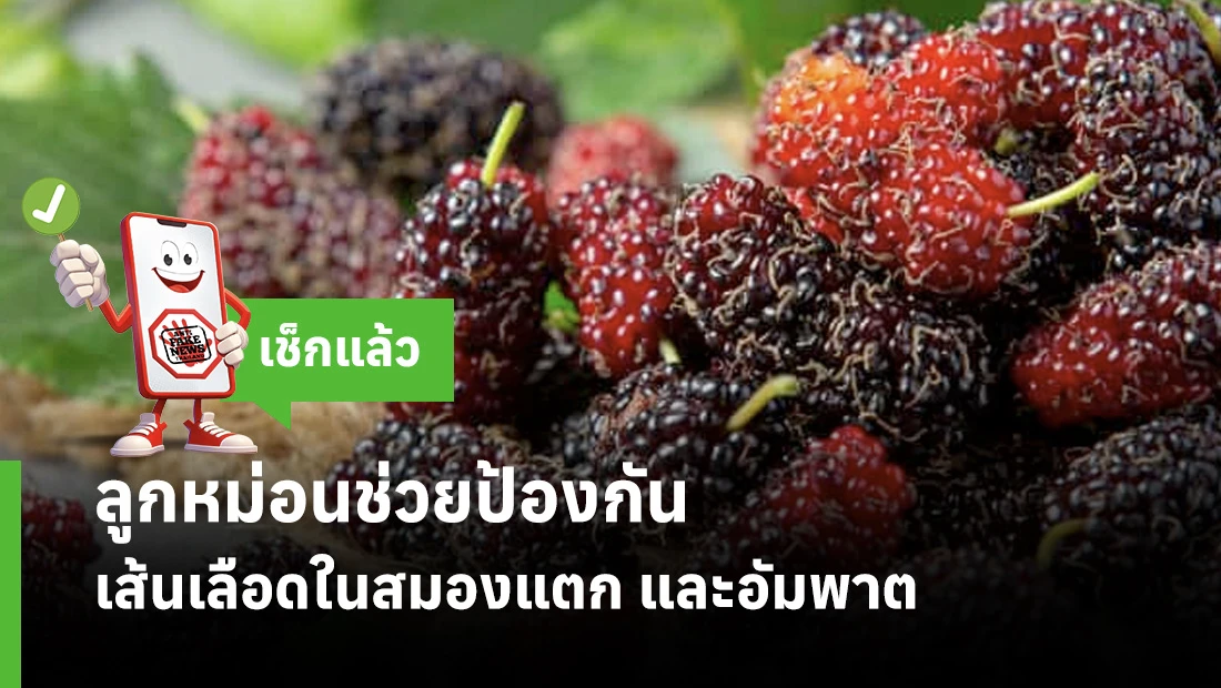 ลูกหม่อนช่วยป้องกันเส้นเลือดในสมองแตก และอัมพาต