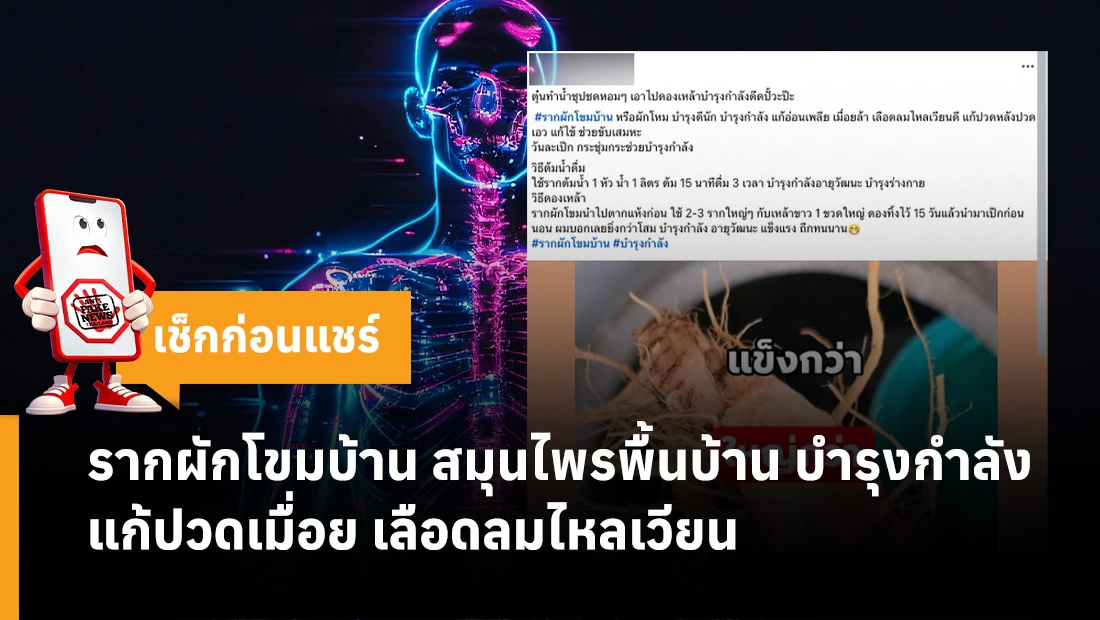 รากผักโขมบ้าน