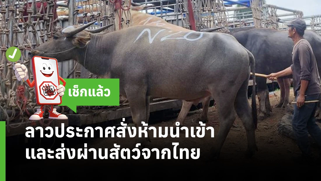 ลาวประกาศสั่งห้ามนำเข้าและส่งผ่านสัตว์จากไทย
