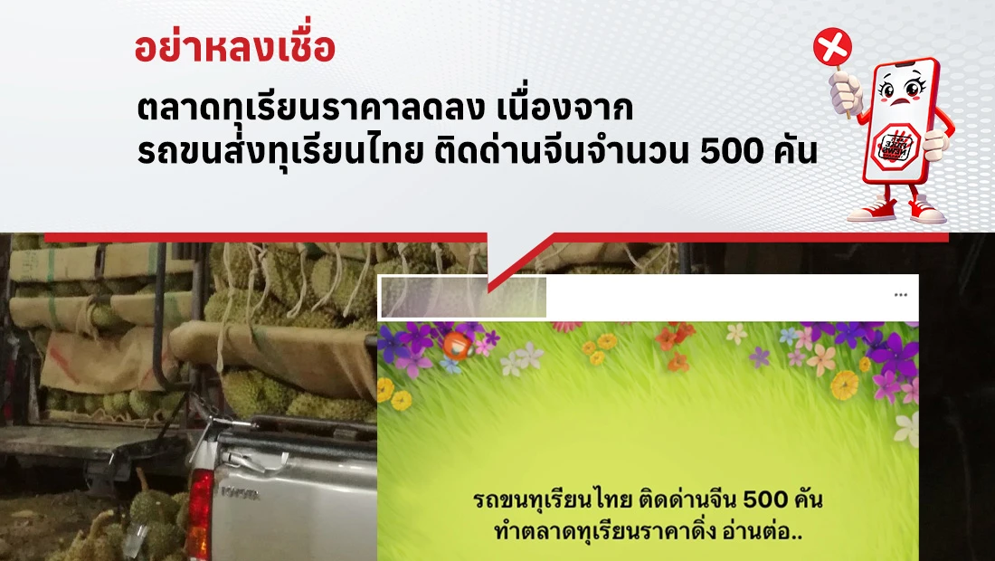 ตลาดทุเรียนราคาลดลง