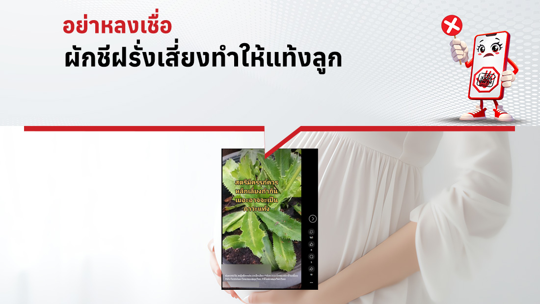 ผักชีฝรั่งเสี่ยงทำให้แท้งลูก
