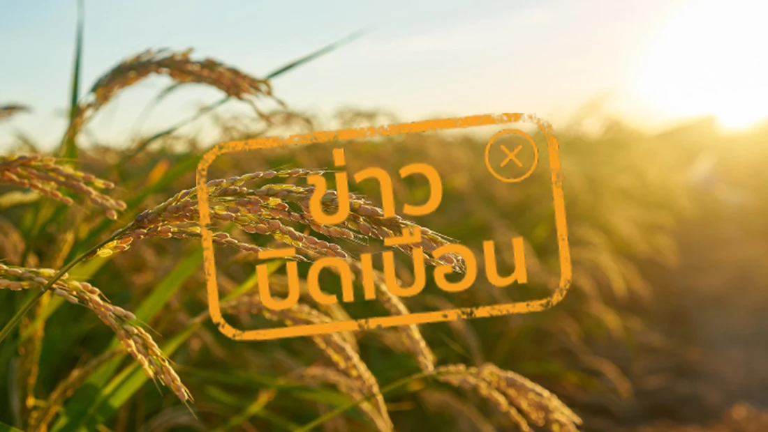 ภาษีสหรัฐฯ ทำข้าวไทยแพง