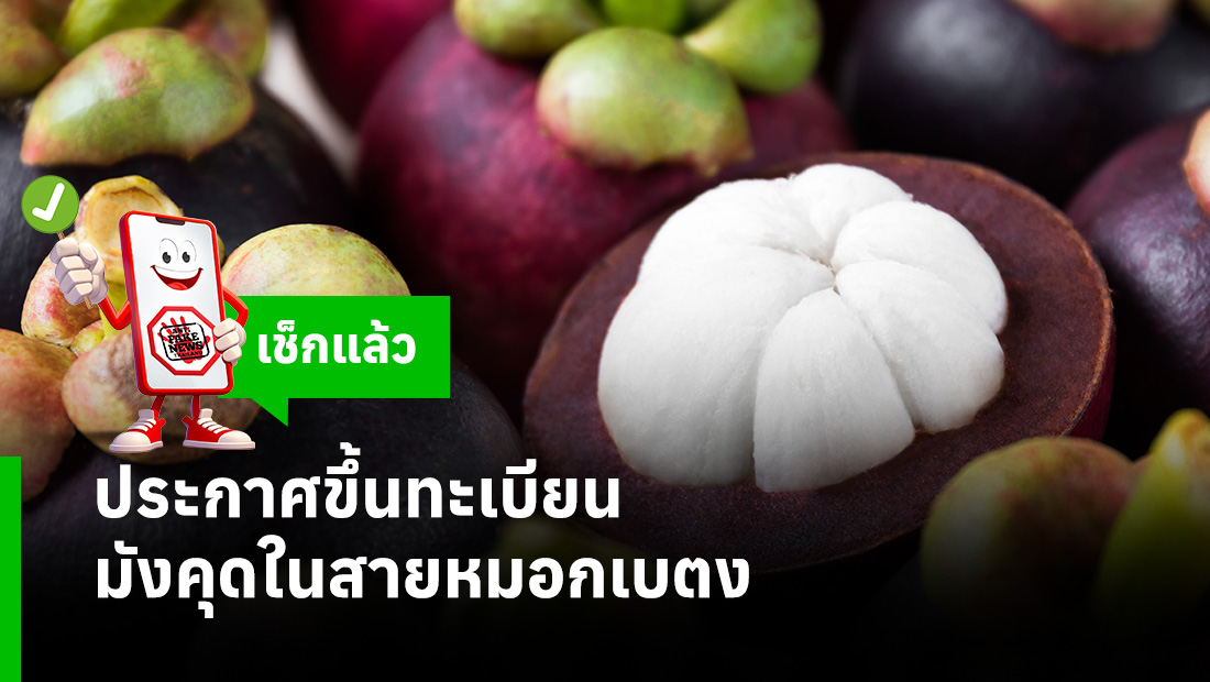 ประกาศขึ้นทะเบียน มังคุดในสายหมอกเบตง
