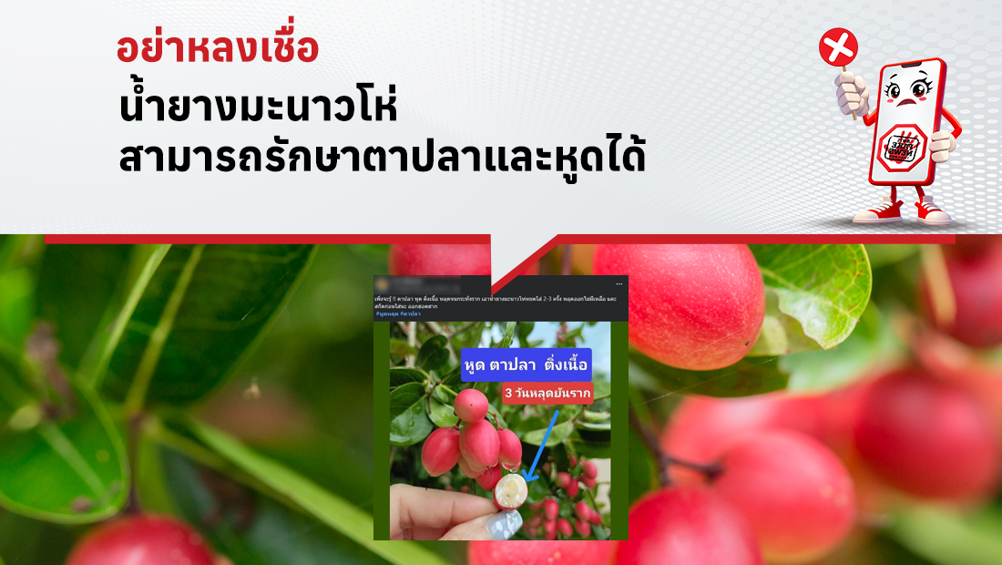 น้ำยางมะนาวโห่ สามารถรักษาตาปลาและหูดได้