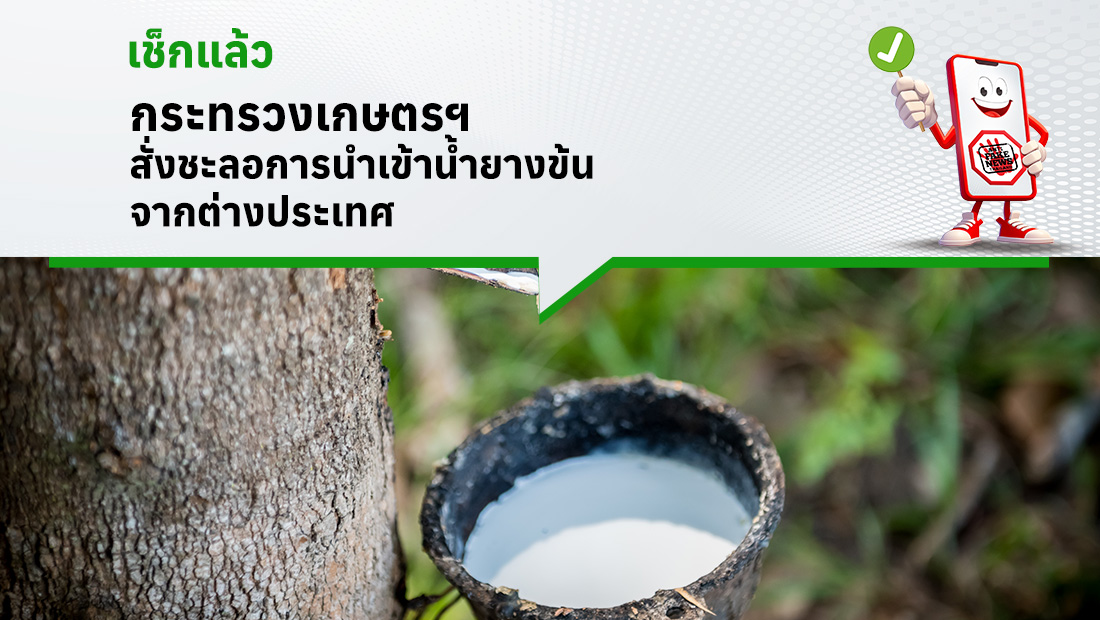 กระทรวงเกษตรฯ สั่งชะลอการนำเข้าน้ำยางข้นจากต่างประเทศ