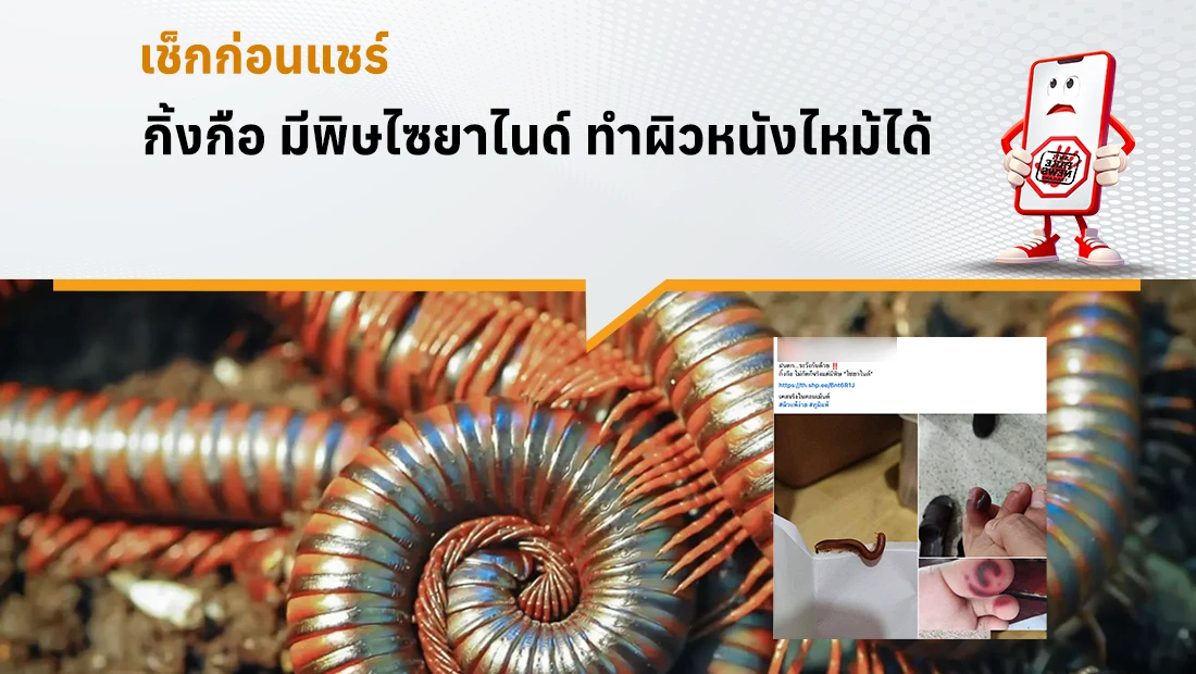 กิ้งกือ มีพิษไซยาไนด์ ทำผิวหนังไหม้ได้