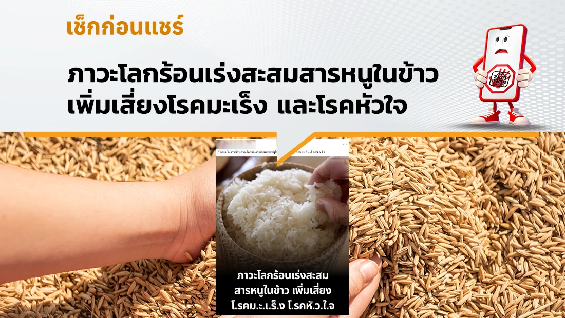 สารหนูในข้าว