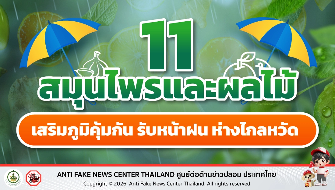 11 สมุนไพรและผลไม้ เสริมภูมิคุ้มกัน รับหน้าฝน ห่างไกลหวัด