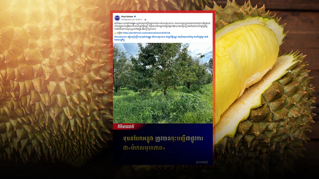 ทุเรียนหมอนทอง