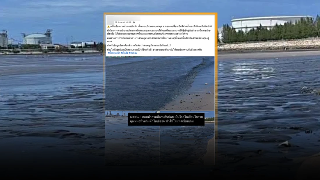 โรงงานปล่อยน้ำเสียลงทะเลในจังหวัดระยอง จนทำให้น้ำทะเลมีสีดำ