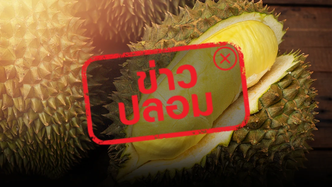 ทุเรียนหมอนทอง 
