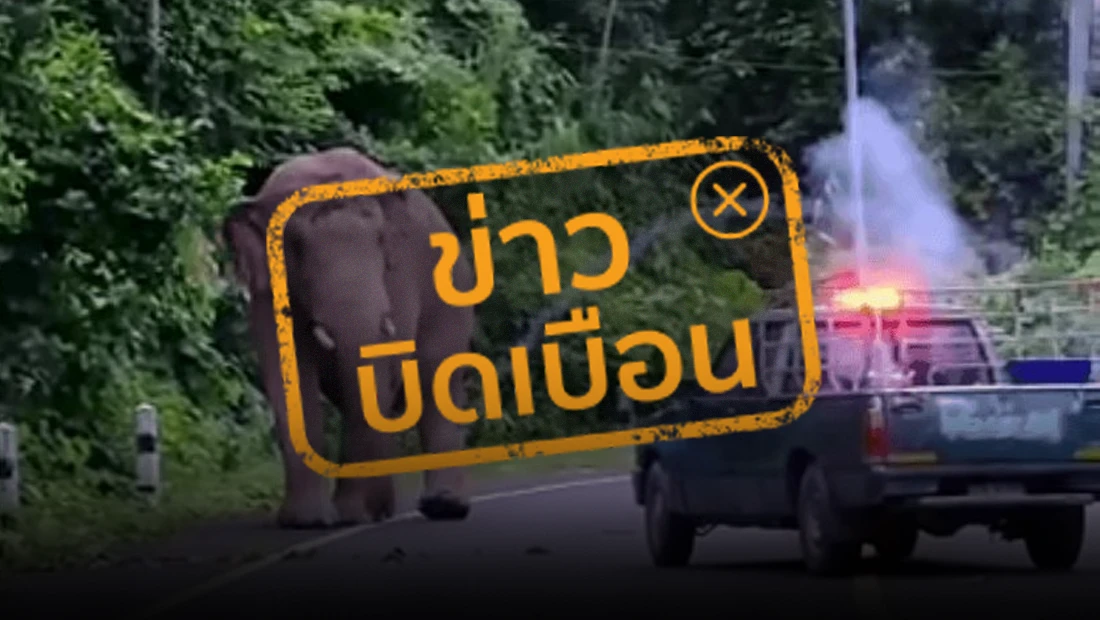 เจ้าหน้าที่ผลักดันช้างเข้าป่า โดยการปาประทัดไฟใส่ตัวช้าง