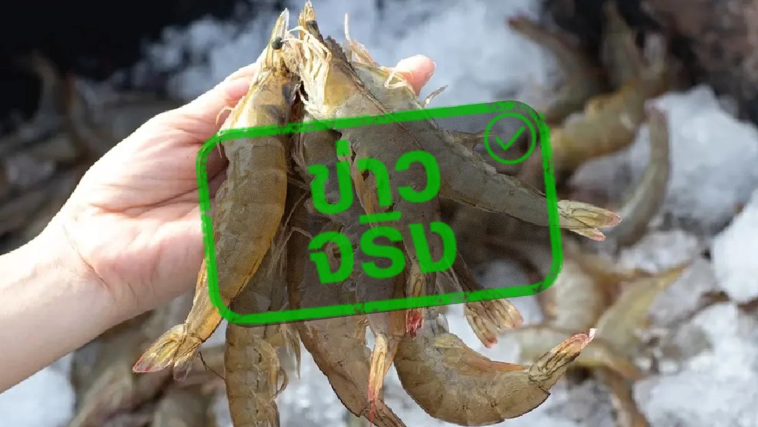 ตลาดกุ้งไทย